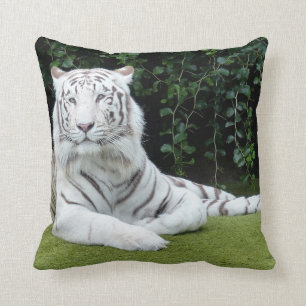 white bengal tiger cushion