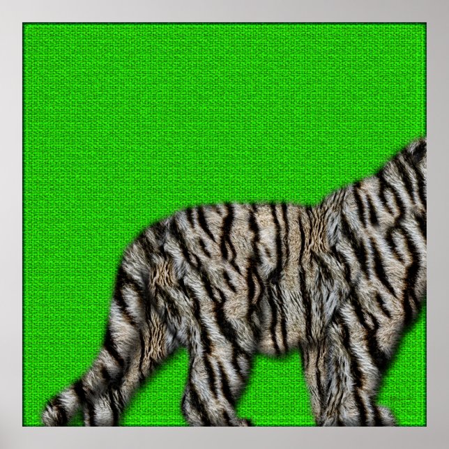 White Bengal Tiger: Furry Bottom on Green Poster (Front)