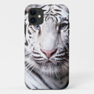 White Bengal Tiger Photography iPhone 11 Case