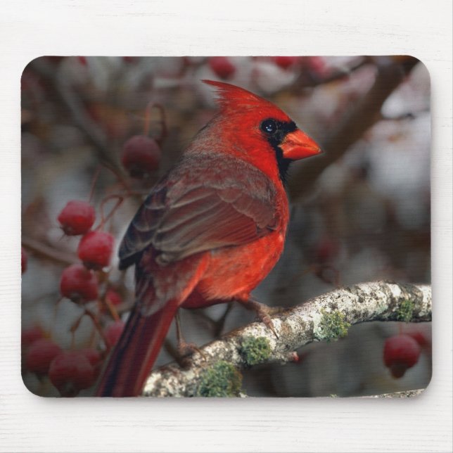 White Berries Primitive Christmas Red Cardinal Mouse Pad (Front)