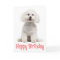 White Bichon Frise Puppy Dog Red Happy Birthday