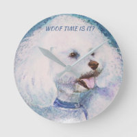 WHITE BICHON FRISE