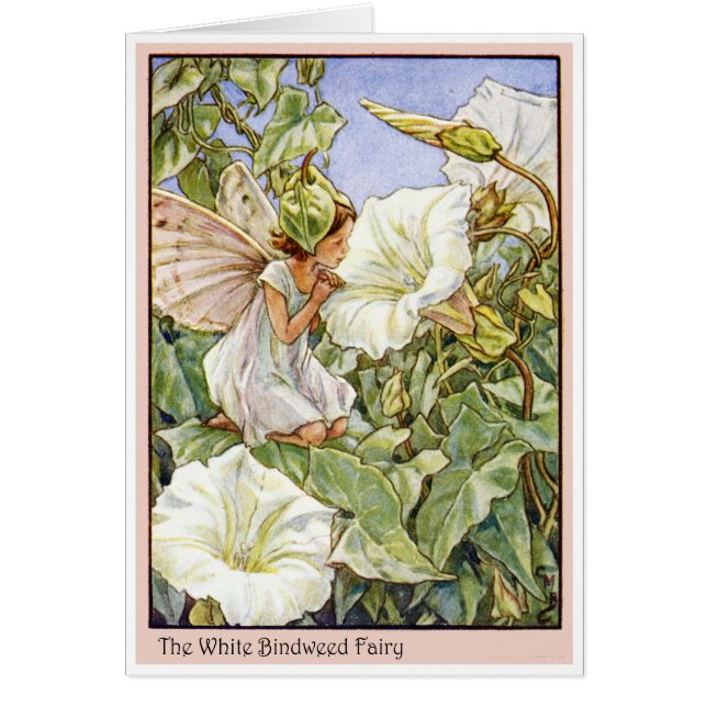 White Bindweed Fairy (Front)