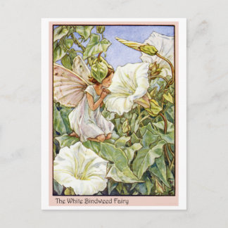 White Bindweed Fairy Postcard