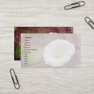 White Bindweed - The Wild Perennial Morning Glory Business Card