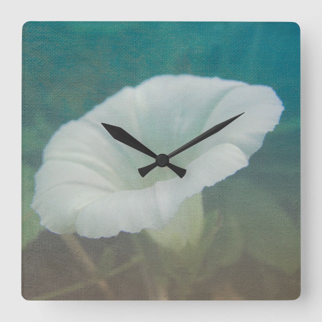 White Bindweed - The Wild Perennial Morning Glory Square Wall Clock (Front)
