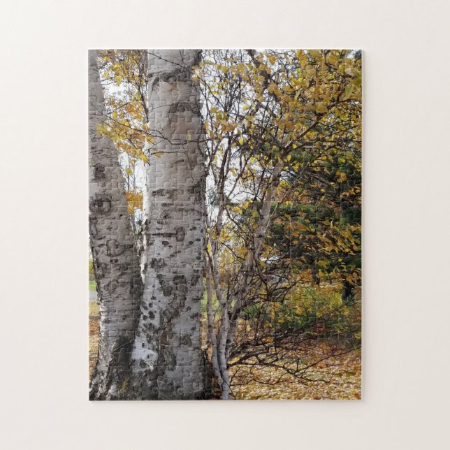 White Birch in Autumn Jigsaw Puzzle (Vertical)