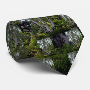 White Birch in Enchanted Lush Forest Tie