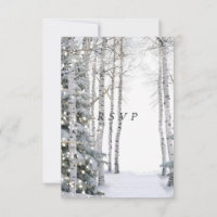 White Birch Pine Trees Winter Lights Stars