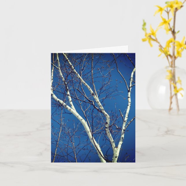 White Birch Tree Blue Sky Nature Note Card (Yellow Flower)