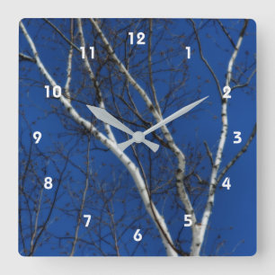 White Birch Tree Blue Sky Nature Orton Effect  Square Wall Clock