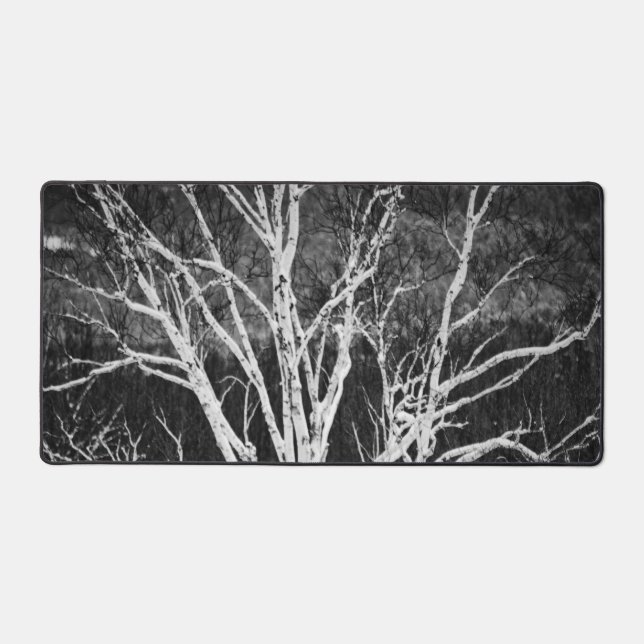 White Birch Tree In Winter Black And White Photo Desk Mat (Front)