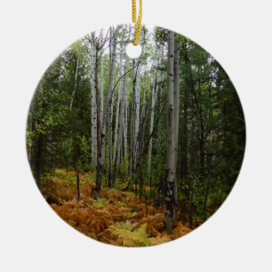 White Birch Trees and Fall Ferns at Rocky Mountain Ceramic Tree Decoration
