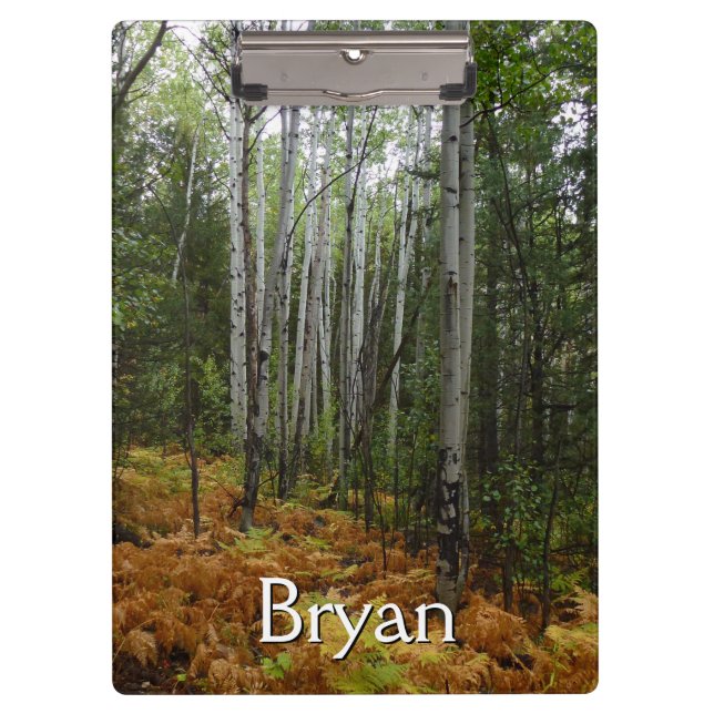 White Birch Trees and Fall Ferns at Rocky Mountain Clipboard (Front)