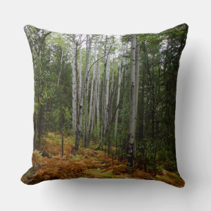 White Birch Trees and Fall Ferns at Rocky Mountain Cushion