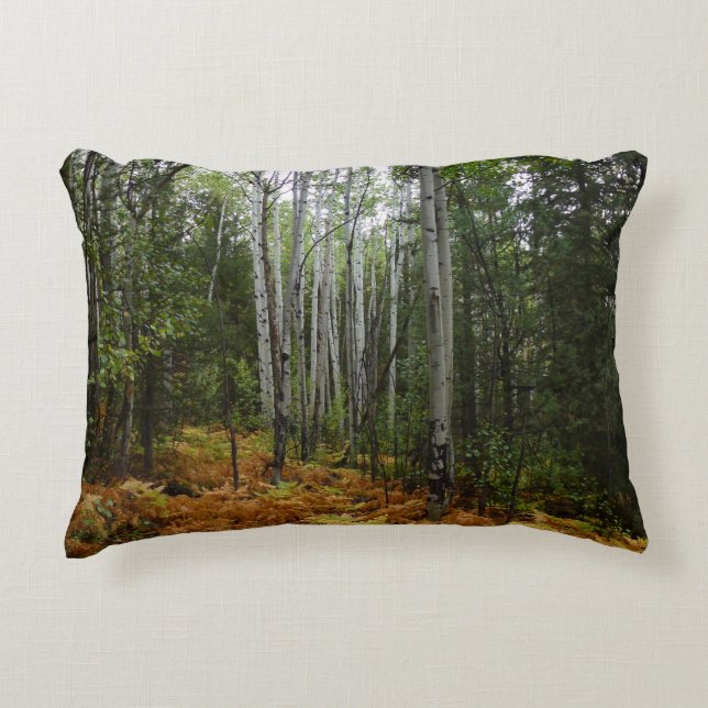 White Birch Trees and Fall Ferns at Rocky Mountain Decorative Cushion (Front)