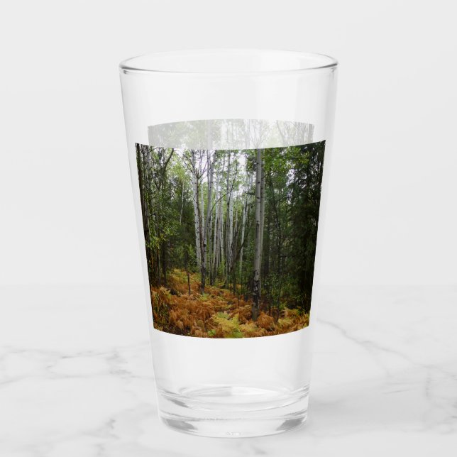 White Birch Trees and Fall Ferns at Rocky Mountain Glass (Front)