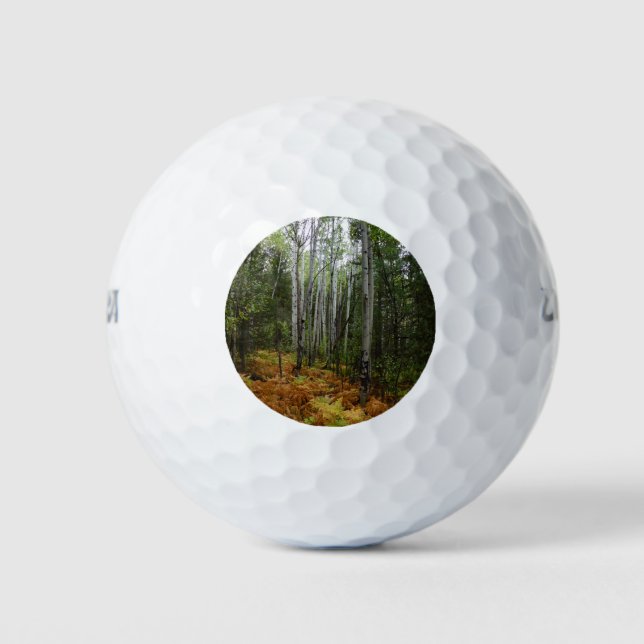 White Birch Trees and Fall Ferns at Rocky Mountain Golf Balls (Front)