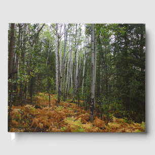White Birch Trees and Fall Ferns at Rocky Mountain Guest Book