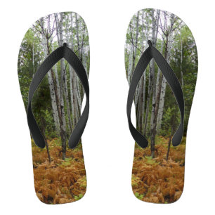 White Birch Trees and Fall Ferns at Rocky Mountain Jandals