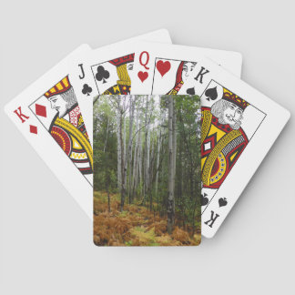 White Birch Trees and Fall Ferns at Rocky Mountain Playing Cards