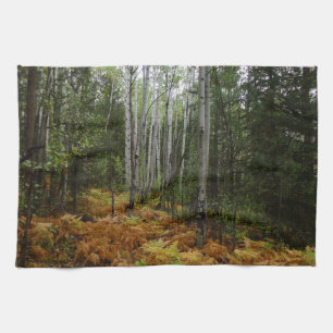 White Birch Trees and Fall Ferns at Rocky Mountain Tea Towel