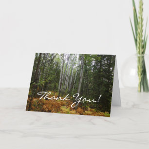 White Birch Trees and Fall Ferns at Rocky Mountain Thank You Card
