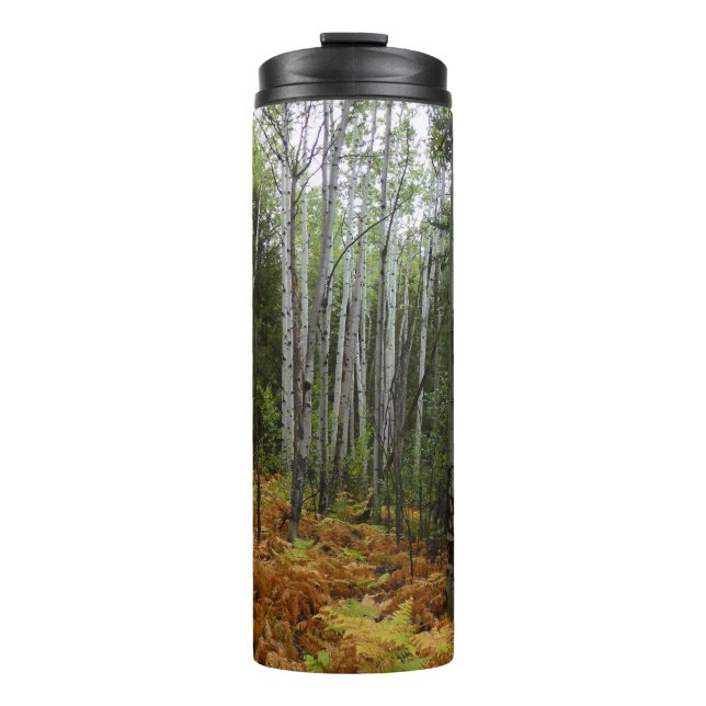 White Birch Trees and Fall Ferns at Rocky Mountain Thermal Tumbler (Front)