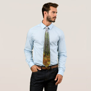 White Birch Trees and Fall Ferns at Rocky Mountain Tie