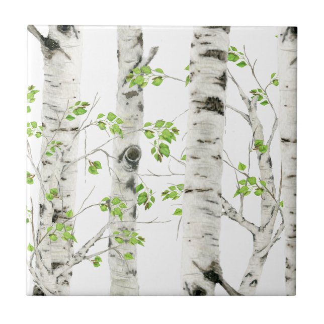 White Birch Trees Decorative Ceramic Tile (Front)