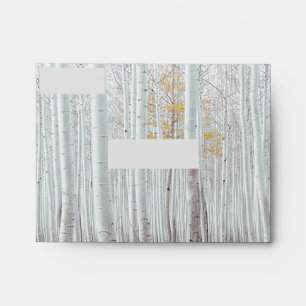 White Birch Trees Yellow Fall Leaves  Envelope