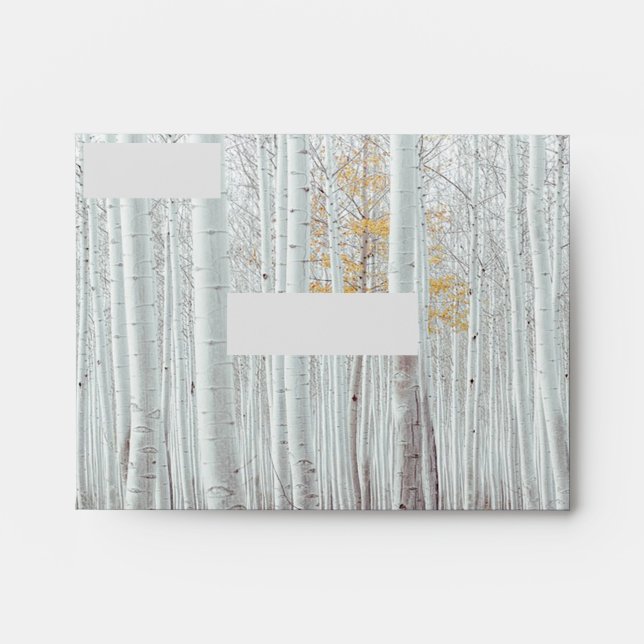 White Birch Trees Yellow Fall Leaves  Envelope (Front)