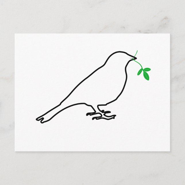 White Bird and Twig Postcard (Front)