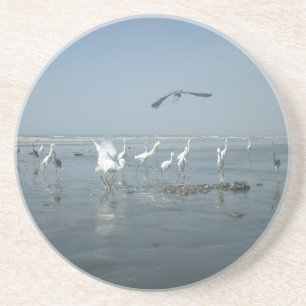 White birds featehres hakuna matata.JPG Coaster