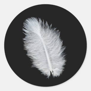 White bird's feather classic round sticker