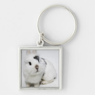 White, black and brown rabbit key ring