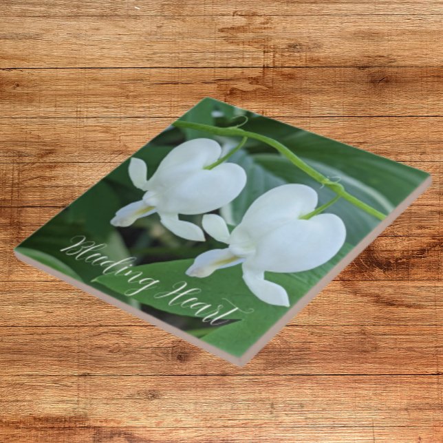 White Bleeding Heart Floral Tile (In Situ)