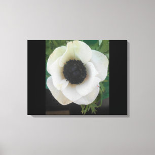 White blooming Flower Canvas Print