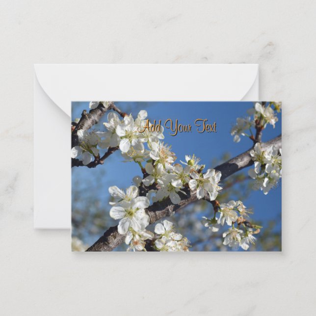 White blooming plum tree branch in spring custom card (Front)