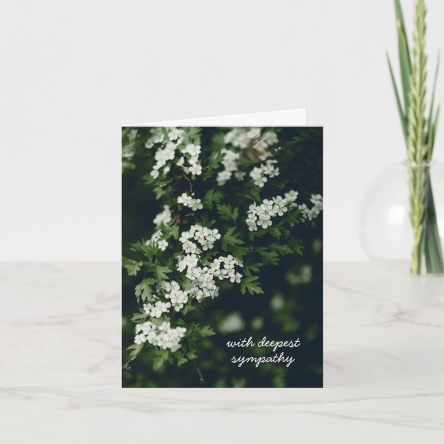 White blooming tree branch, Sympathy Card (Front)