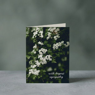 White blooming tree branch, Sympathy Card