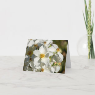 White Blooms Note Card