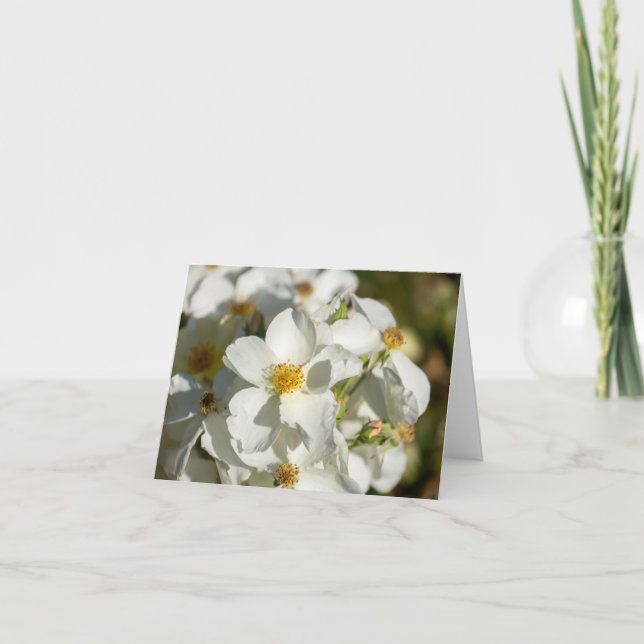 White Blooms Note Card (Front)