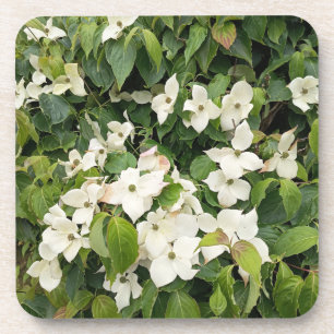 White Blossom Botanical Throw Pillow beverage coas Coaster