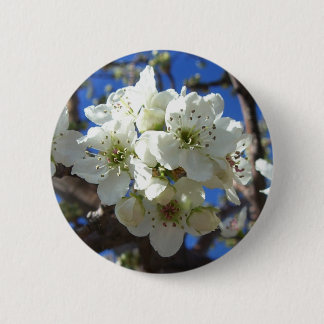 White Blossom Clusters Spring Flowering Pear Tree 6 Cm Round Badge