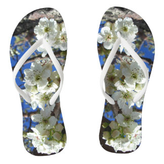 White Blossom Clusters Spring Flowering Pear Tree Jandals