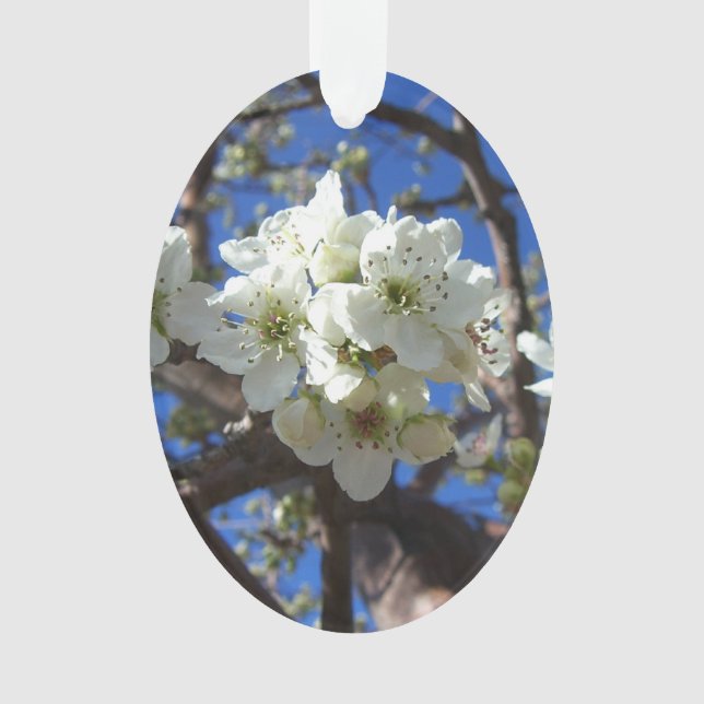 White Blossom Clusters Spring Flowering Pear Tree Ornament (Front)