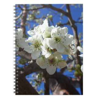 White Blossom Clusters Spring Flowering Pear Tree Spiral Notebook