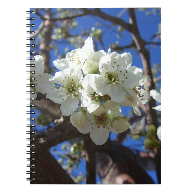 White Blossom Clusters Spring Flowering Pear Tree Spiral Notebook (Front)