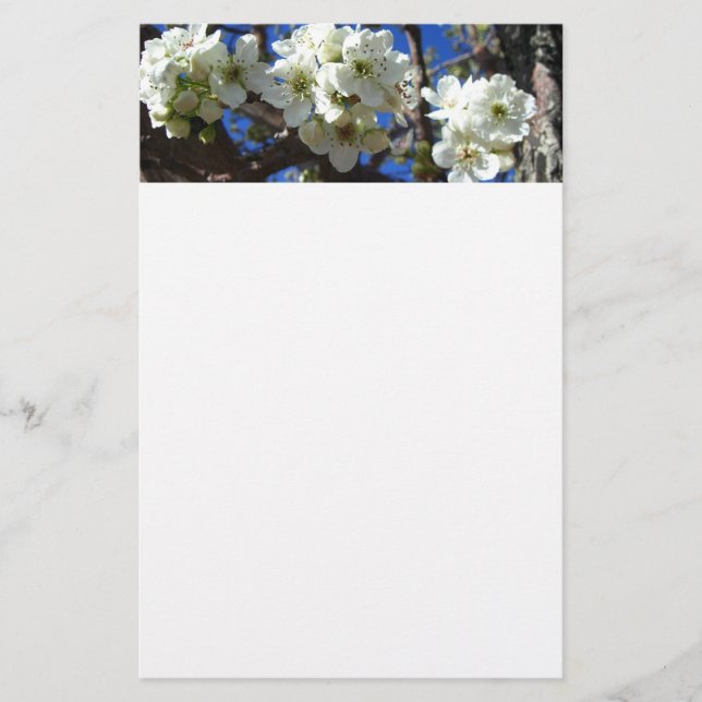 White Blossom Clusters Spring Flowering Pear Tree Stationery (Front)